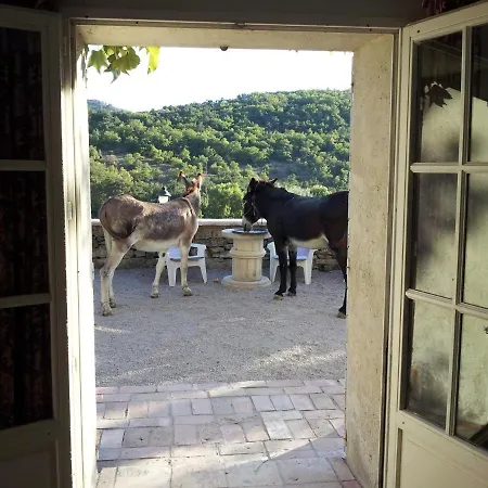לינה וארוחת בוקר Le Relais D'elle Niozelles