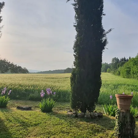 Bed & Breakfast Le Relais D'elle 4*