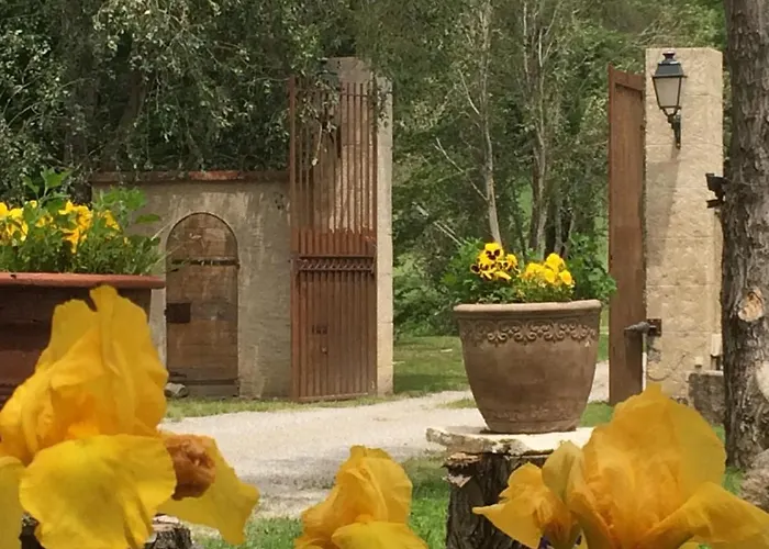 Bed & Breakfast Le Relais D'elle Niozelles