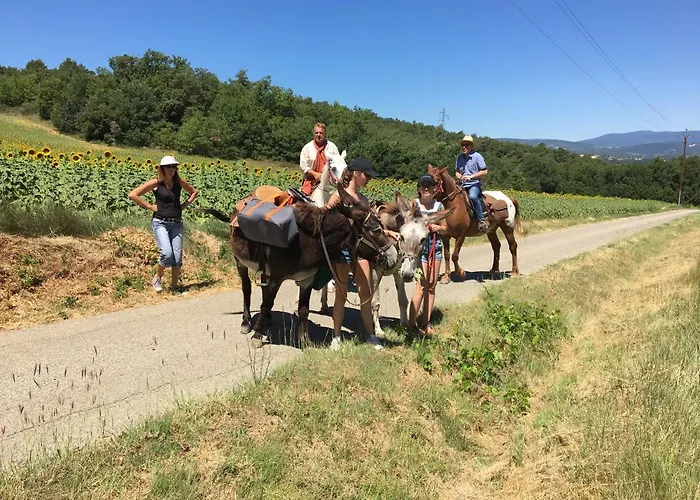 Le Relais D'elle 4* Niozelles