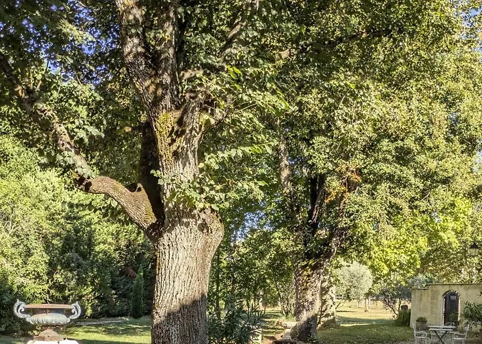 Le Relais D'elle Bed & Breakfast