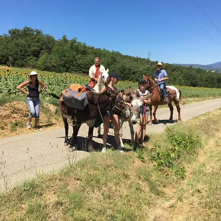 Le Relais D'elle 4* Niozelles