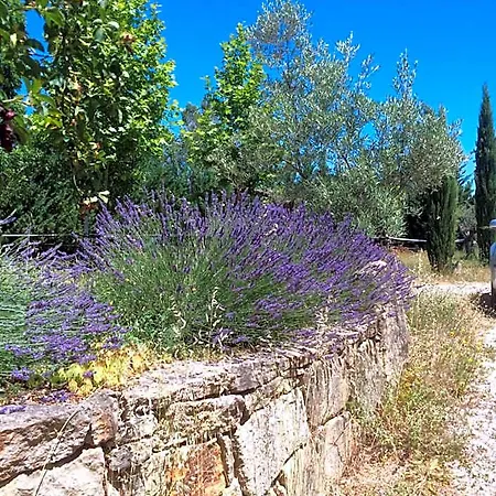 Le Relais D'elle Niozelles