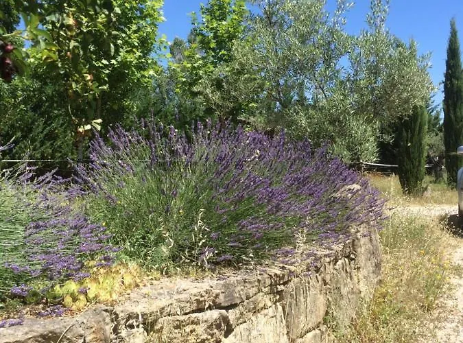 Le Relais D'elle 4* Niozelles