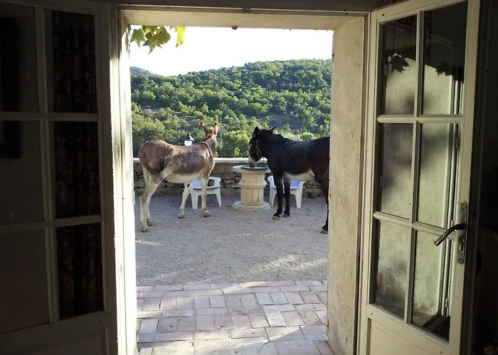 Bed & Breakfast Le Relais D'elle Niozelles